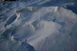 [picture: Footprints in the snow]