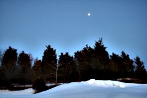 [picture: Winter forest with full moon 3]