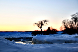 [picture: Sunset with tree]