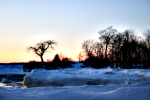 [picture: Sunset with tree 2]