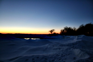 [picture: Sunset with tree 4]