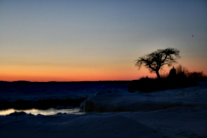 [picture: Sunset with tree 5]