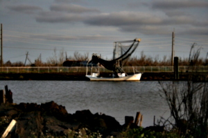 [picture: Fishing boat]