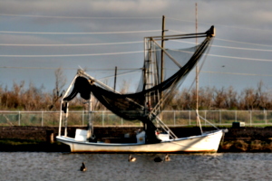 [picture: Fishing boat]