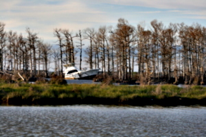 [picture: Crashed boat 1]