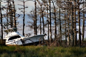 [picture: Crashed boat 3]