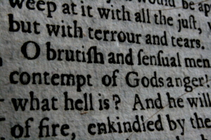 [picture: Closeup words 6: O brutish and sensual men, contempt of Gods anger!]