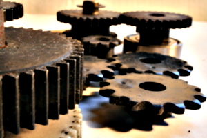 [picture: Cogs 9: Closer, but with the rear ones in view]