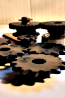 [picture: Cogs 11: front in focus]