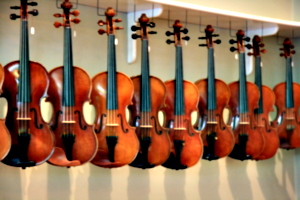 [picture: Violins 2]