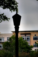 [picture: dark lamp-post 1]