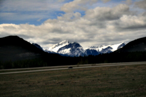 [picture: From the shuttle-bus on the way]