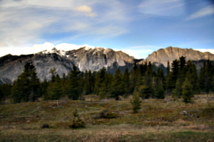 [picture: From the shuttle-bus on the way]