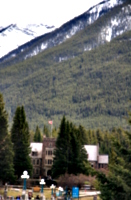 [picture: Place with trees and mountain]