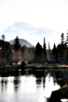 [picture: Trees reflected in the lake]