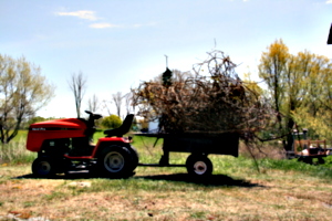 [picture: Tractor 2]