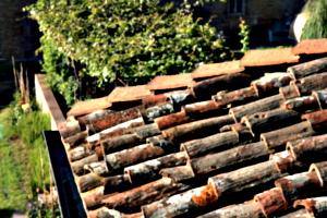 [picture: Roof tiles 2]