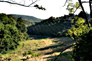 [picture: Tuscan Hillside]