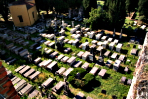 [picture: Jewish Cemetary 11: From above]