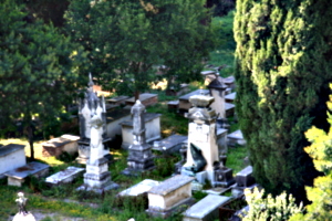 [picture: Jewish Cemetary 12: monuments]