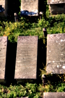 [picture: Jewish Cemetary 13: Carolina Essinger]