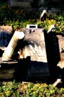 [picture: Jewish Cemetary 14: tombs and pillar]