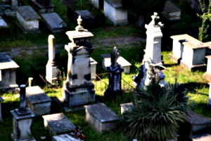 [picture: Jewish Cemetary 16: Stone monuments]