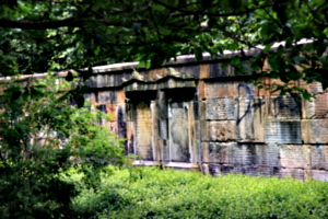 [picture: Tombs in the sun 3]