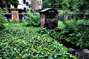 [picture: Overgrown Churchyard 1]