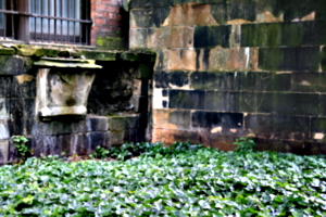 [picture: Wall-tomb with Ivy]