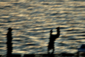 [picture: Youths on the dock 3: jump!]