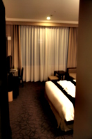 [picture: Hotel Room 1]