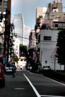 [picture: Pink lanterns]