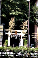 [picture: Shrine entrance]