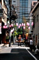 [picture: Lanterns and Mikoshi 1]