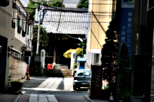 [picture: Temple entrance]