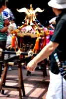 [picture: mikoshi poles]