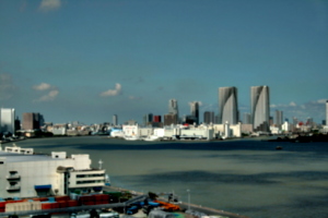 [picture: Tokyo from afar]