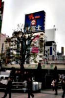 [picture: Big square 8: Yen shop tree 1.]