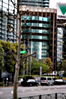 [picture: Scrawny tree, curved skyscraper]