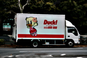 [picture: Duck!]