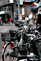 [picture: Bicycles 2]