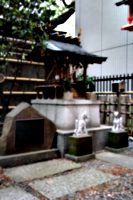 [picture: Japanese temple 4]