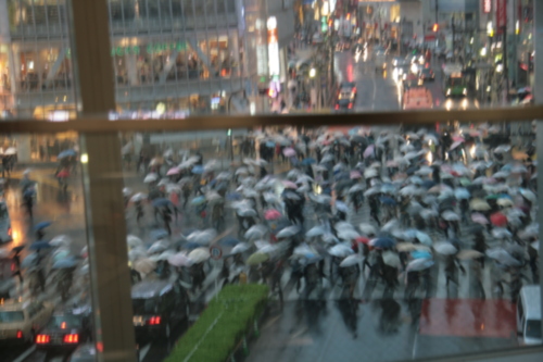 [Picture: Rainy day in Japan 2]