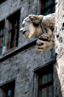 [picture: Gargoyle 8]