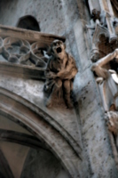 [picture: Gargoyle 10]