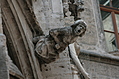 [Picture: Gargoyle 17]