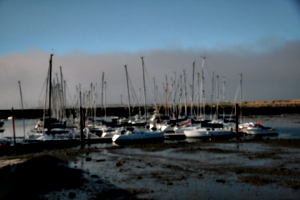 [picture: Boats 2]