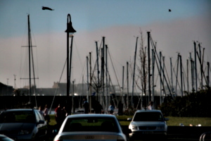 [picture: Parked boats, cars and people]