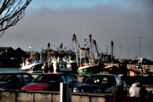 [picture: Boats 4]